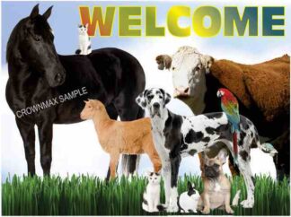 1104 welcome postcard - large animal