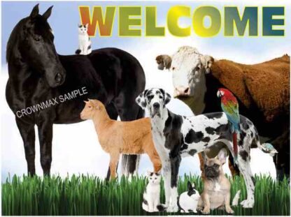 Welcome postcard - large animal