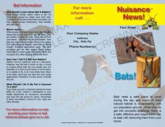 1204 - Bats Brochure