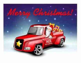 1242 Merry Christmas Truck - Santa