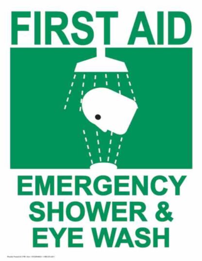 21785 first aid emergency shower eye wash 1