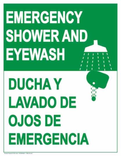 21816 emergency shower and eyewash 1