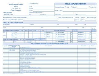 2279 Mold Analysis Report