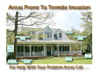 2300 Areas Prone To Termites