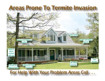 2300 areas prone to termites