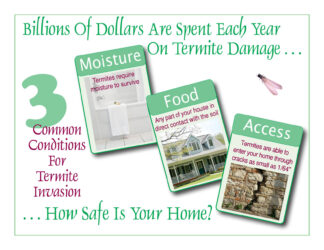 2301 3 Common Conditions For Termite Invasion