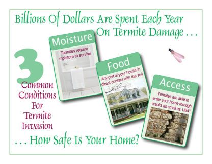 2301 3 common conditions for termite invasion