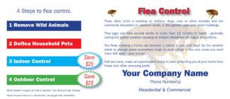 2425 Flea Control Handout