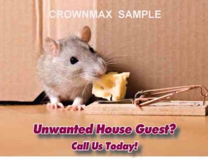 2525 unwanted house guest?