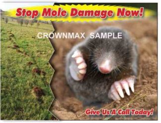 2526 Stop Mole Damage Now!