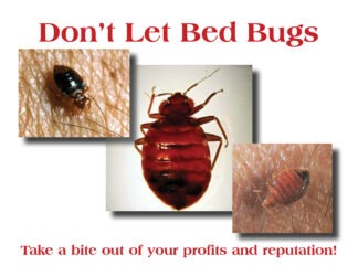 2530 Don't Let Bed Bugs