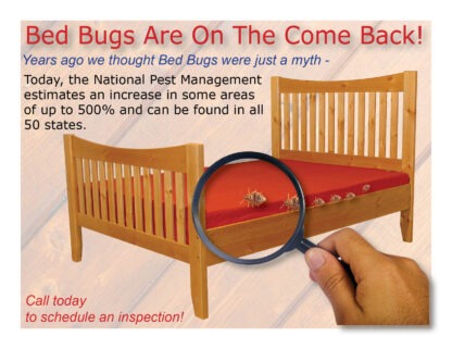 2539 bed bugs - on the come back!