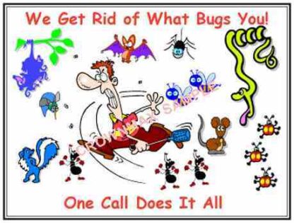 2598 we get rid of what bugs you