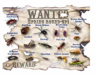 2602 Wanted Postcards