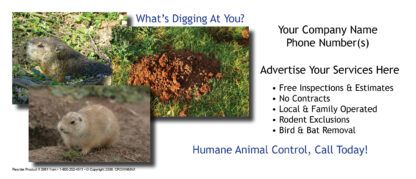 2661 - whats digging handout