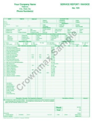 service report