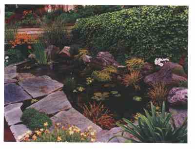 3537 landscaping - pond