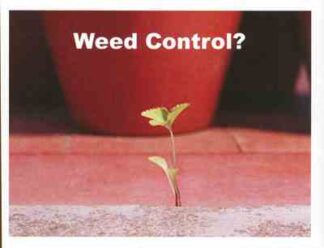 3538 Weed Control?