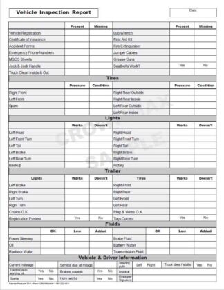 3641 Vehicle Inspection Report