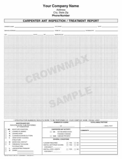 7070 carpenter ant inspection / treatment report
