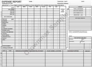 weekly expense report